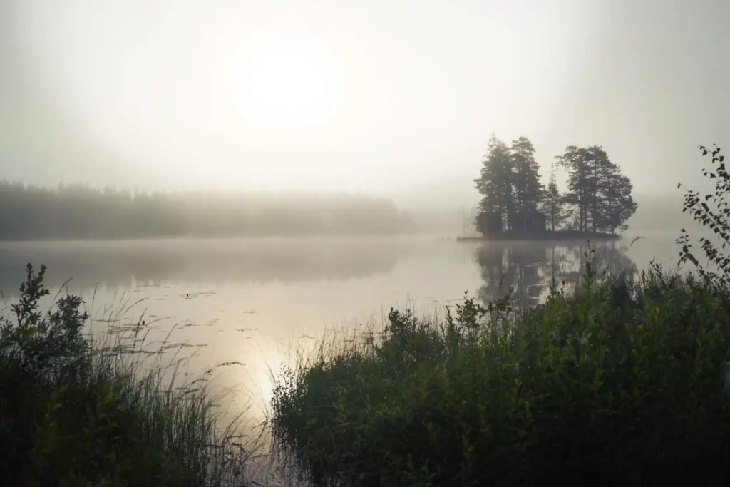 Stilla gryning vid en dimmig skogssjö, med en tallbevuxen ö och två röda stugor