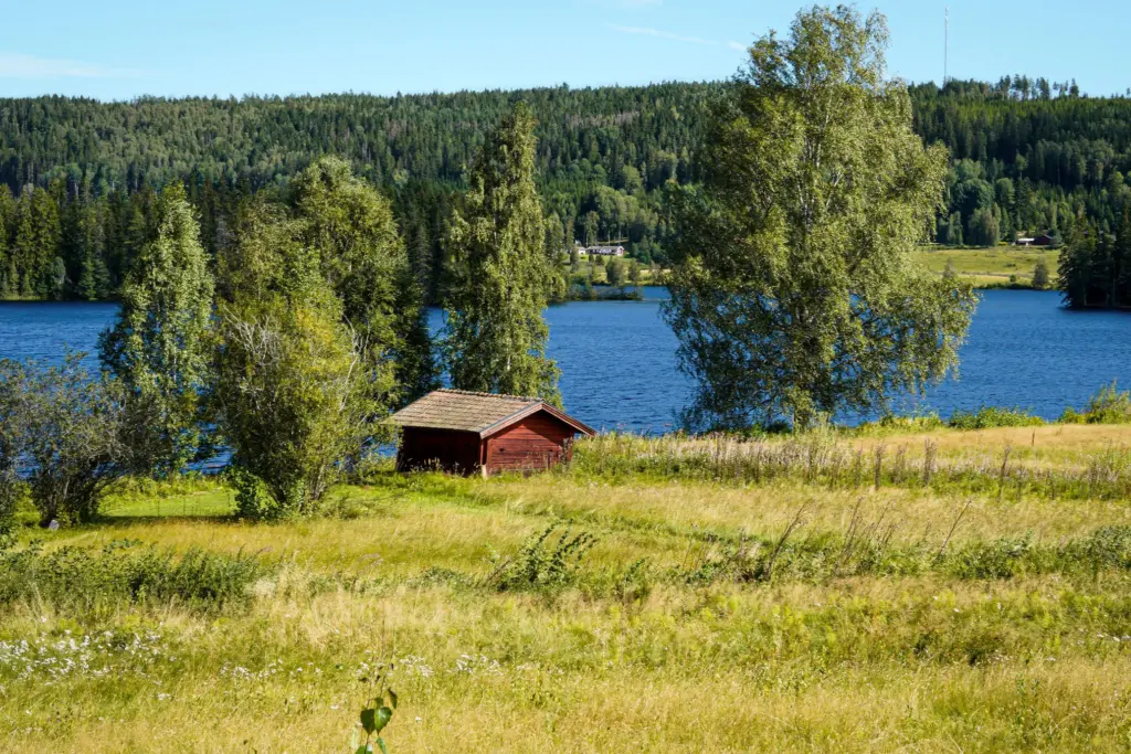 Röd stuga i en sommaräng vid en sjö omgiven av björkar och granskog, ett typiskt svenskt fritidshus
