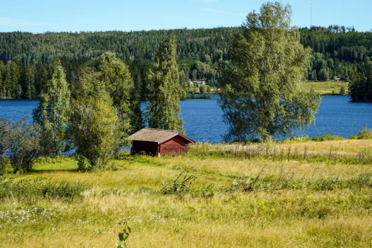 Röd stuga i en sommaräng vid en sjö omgiven av björkar och granskog, ett typiskt svenskt fritidshus