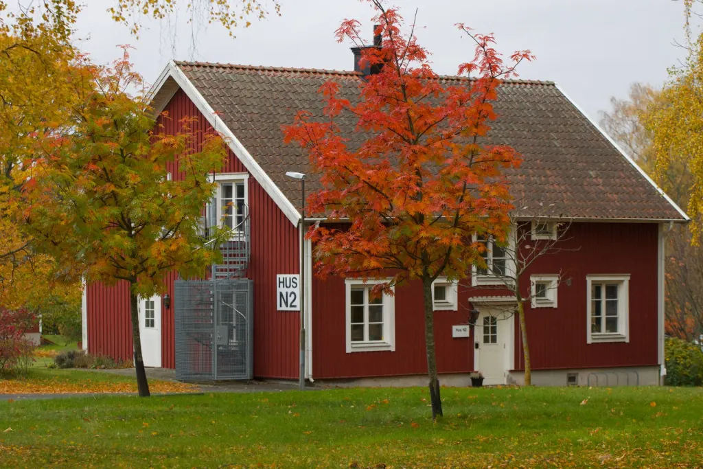 Rött tvåvåningshus i trä med vita knutar bakom en rönn i höstfärger, en bild för att välja bolån till ett svenskt hus