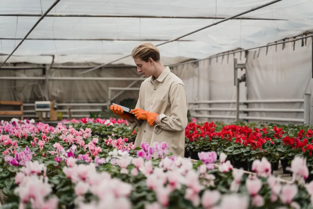 Odlare med orange handskar går igenom sina alpvioler i ett växthus fullt av rosa, vita och röda blommor, en bild för hur ett säsongsföretag finansierar toppar i kassaflödet