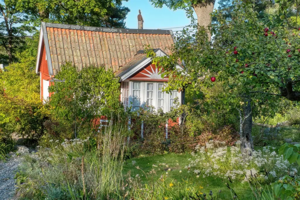 Äldre rött trähus med tegeltak och spröjsade fönster bakom en lummig trädgård med äppelträd