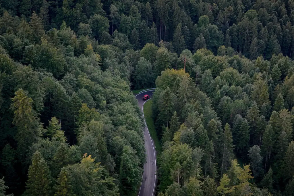 Flygbild över en slingrande väg genom tät barrskog där en röd bil kör, en bild för bilförsäkringar med bäst villkor